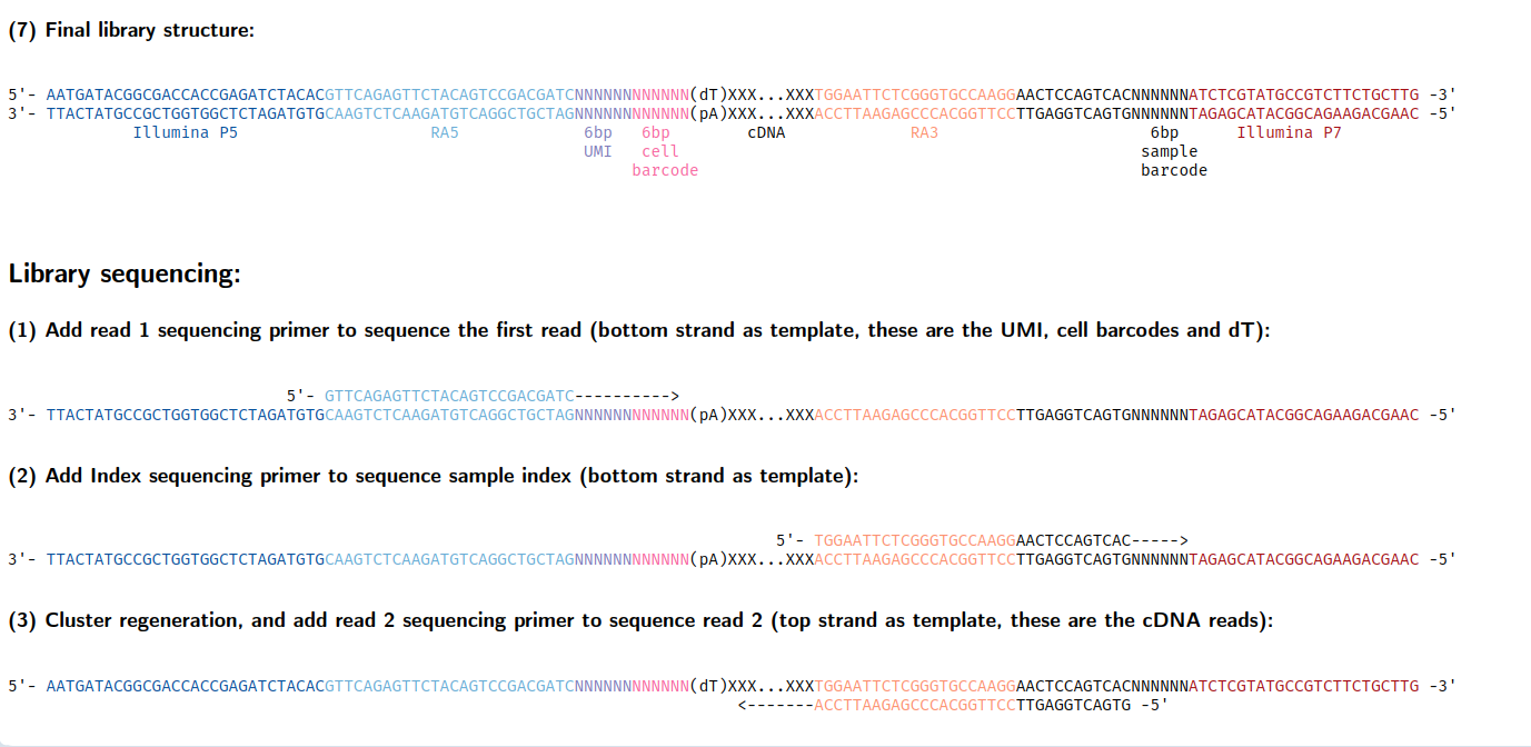 celseq2